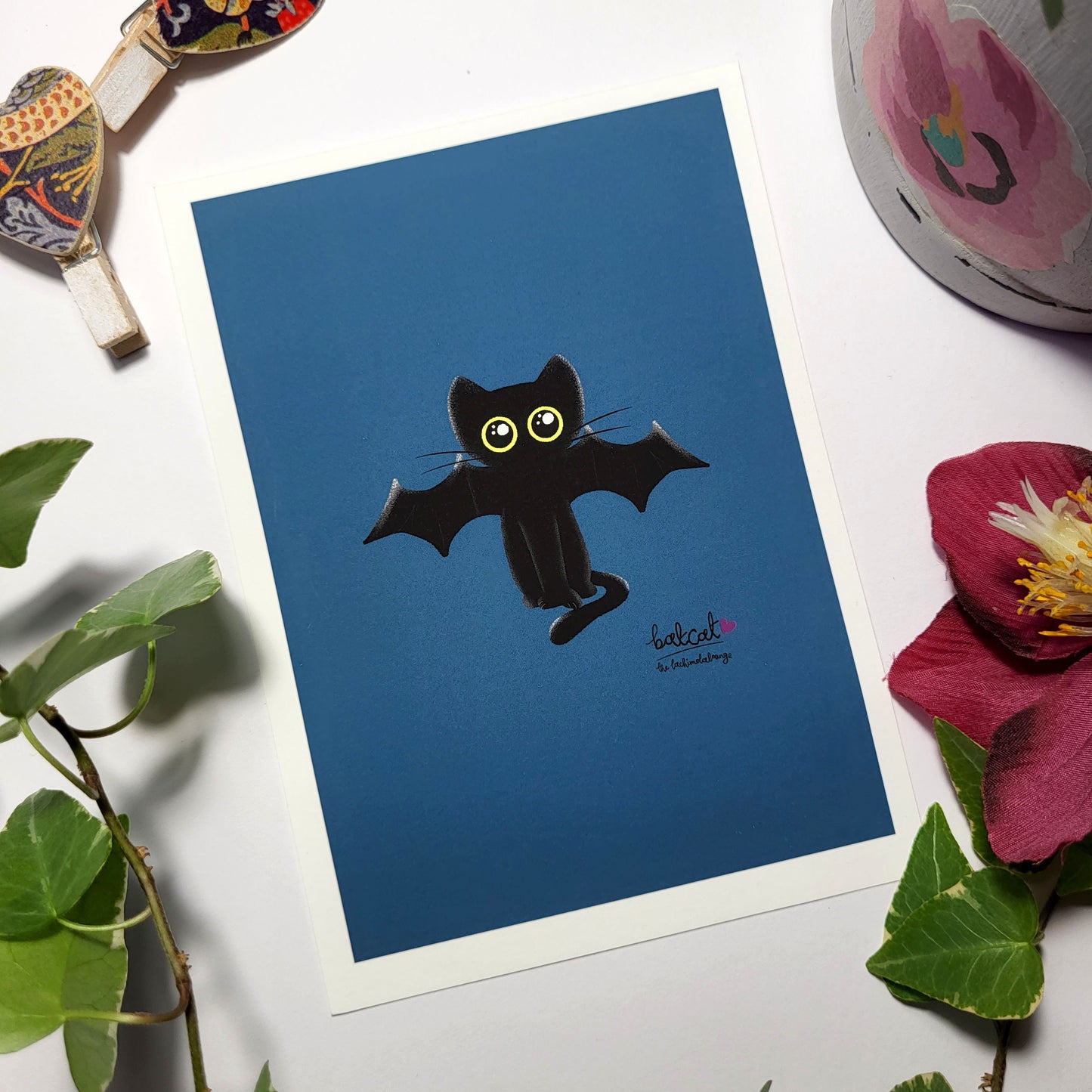 Bear Cat Batcat, black cat illustration