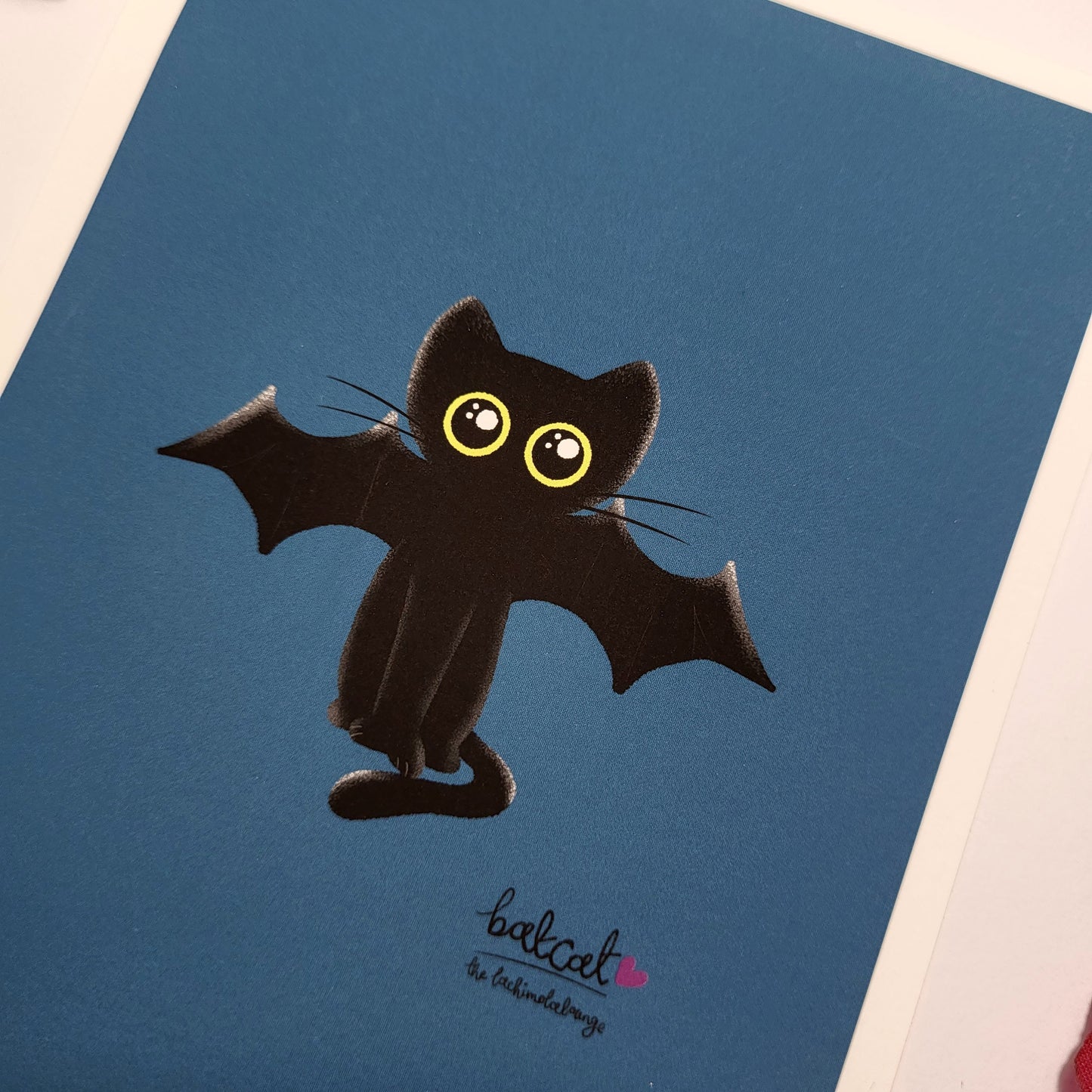 Bear Cat Batcat, black cat illustration